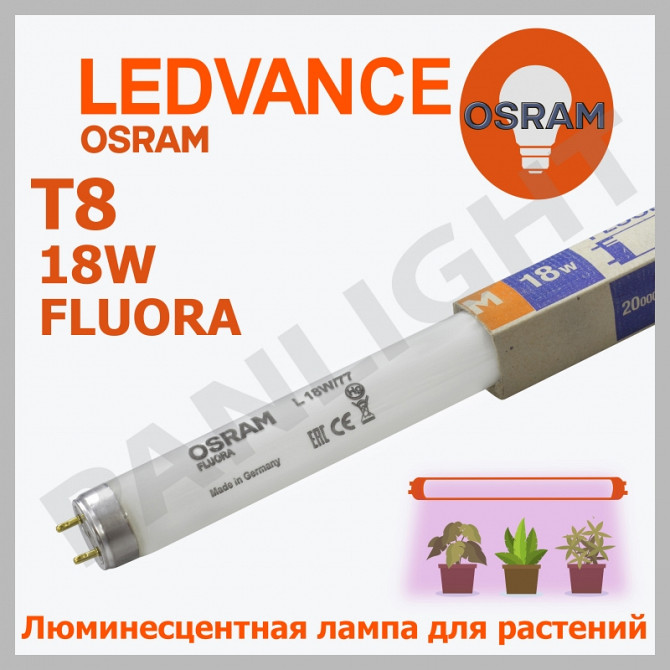 ЛЮМИНЕСЦЕНТНАЯ ФИТОЛАМПА OSRAM FLUORA, PANLIGHT, OSRAM В МОЛДОВЕ, ЛАМП - imagine 1